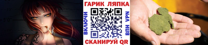 где продают наркотики  Касимов  MEGA зеркало  Гашиш hashish 