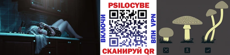 блэк спрут   закладки  Касимов  Галлюциногенные грибы Magic Shrooms 