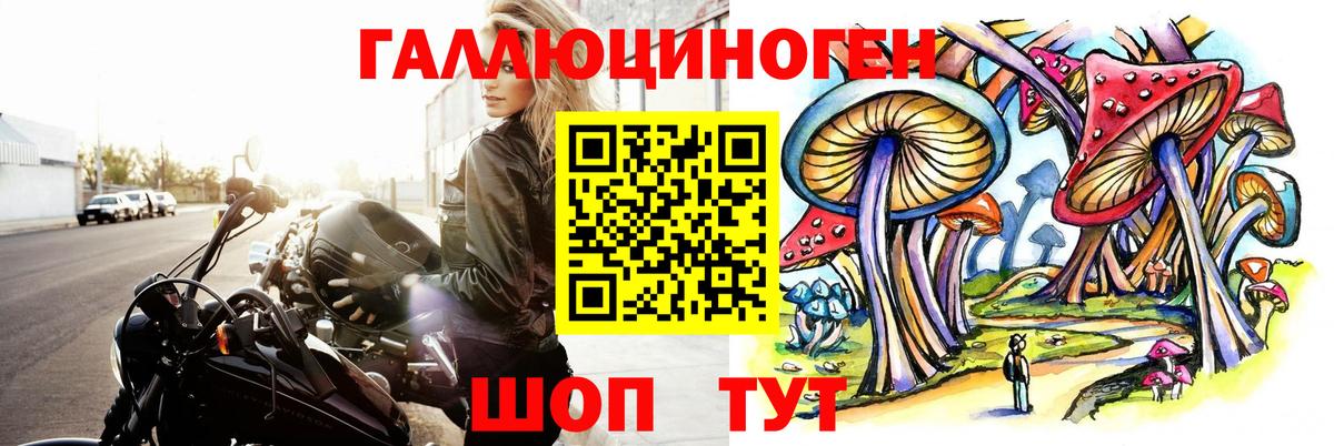 Касимов  Галлюциногенные грибы Cubensis  Вход с VPN 