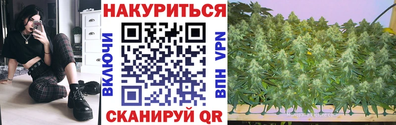 Канабис план Касимов
